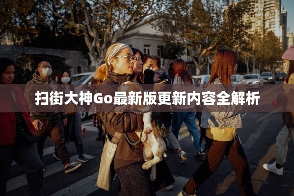 掃街大神Go最新版更新內容全解析