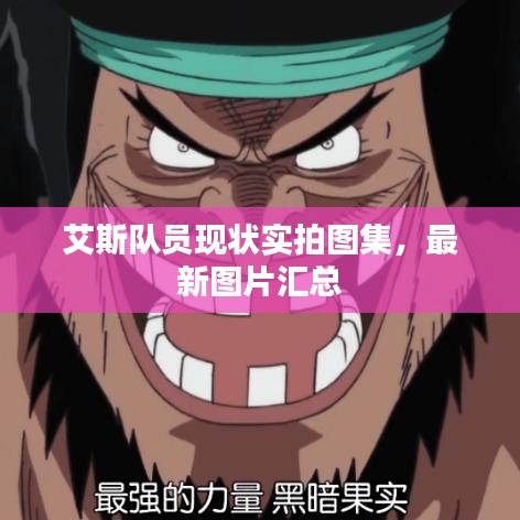 艾斯隊員現狀實拍圖集,最新圖片匯總