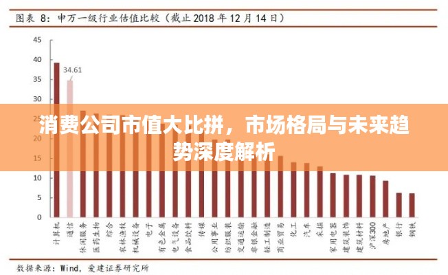 消費公司市值大比拼,市場格局與未來趨勢深度解析