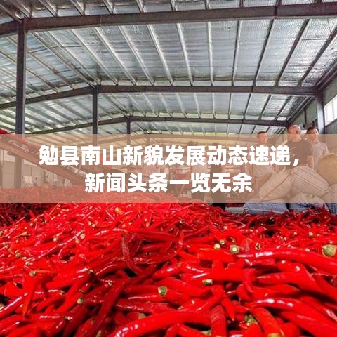 勉縣南山新貌發(fā)展動態(tài)速遞,新聞頭條一覽無余