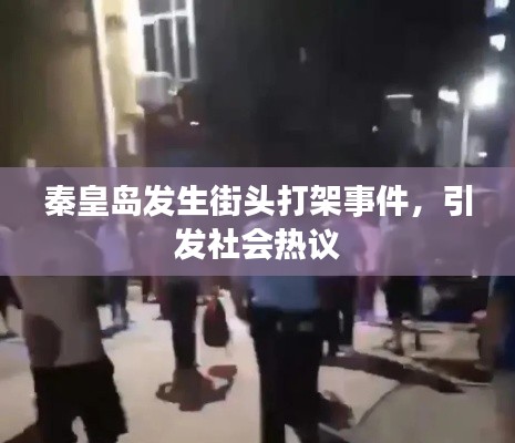 秦皇島發(fā)生街頭打架事件,引發(fā)社會熱議