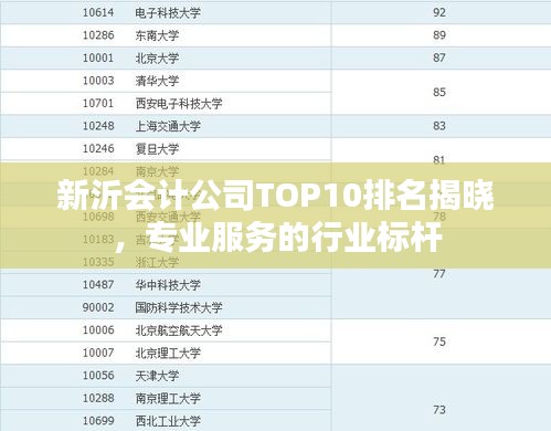 新沂會計公司TOP10排名揭曉,專業服務的行業標桿