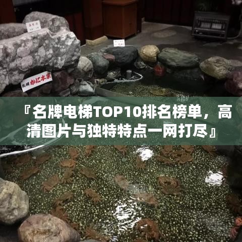 『名牌電梯TOP10排名榜單,高清圖片與獨(dú)特特點(diǎn)一網(wǎng)打盡』