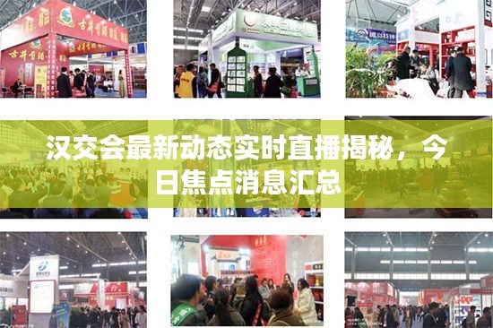漢交會(huì)最新動(dòng)態(tài)實(shí)時(shí)直播揭秘,今日焦點(diǎn)消息匯總