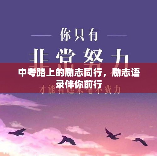中考路上的勵志同行,勵志語錄伴你前行
