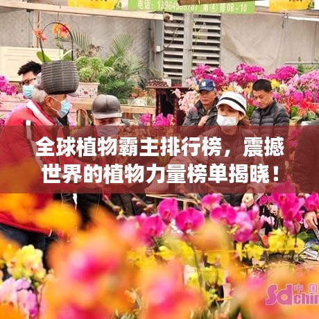 早生貴子 第3頁