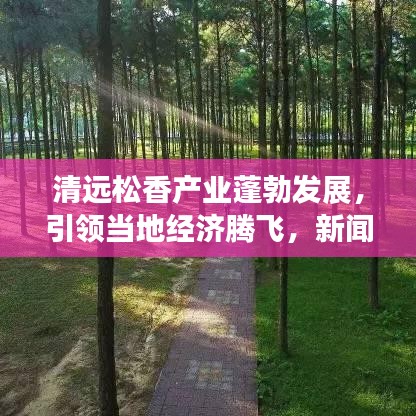清遠(yuǎn)松香產(chǎn)業(yè)蓬勃發(fā)展,引領(lǐng)當(dāng)?shù)亟?jīng)濟(jì)騰飛,新聞?lì)^條揭秘松香魅力