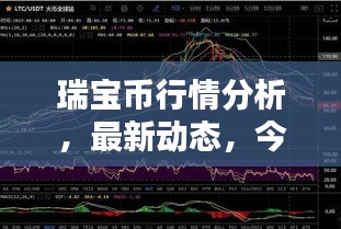 瑞寶幣行情分析，最新動態，今日走勢一網打盡！