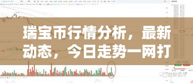 瑞寶幣行情分析,最新動態(tài),今日走勢一網(wǎng)打盡!
