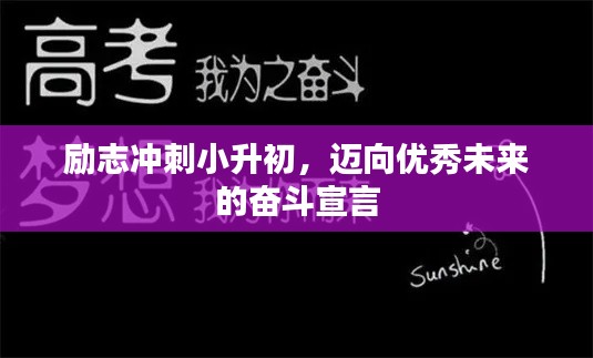 勵志沖刺小升初,邁向優(yōu)秀未來的奮斗宣言