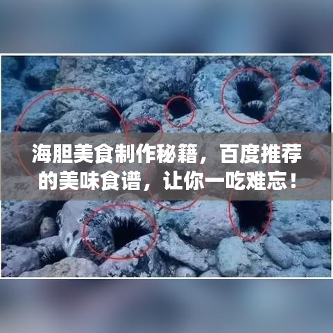 海膽美食制作秘籍,百度推薦的美味食譜,讓你一吃難忘!
