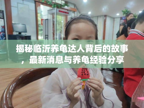 揭秘臨沂養(yǎng)龜達(dá)人背后的故事,最新消息與養(yǎng)龜經(jīng)驗(yàn)分享