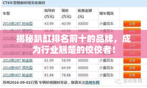 揭秘趴缸排名前十的品牌,成為行業翹楚的佼佼者!