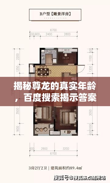 揭秘尊龍的真實年齡，百度搜索揭示答案！