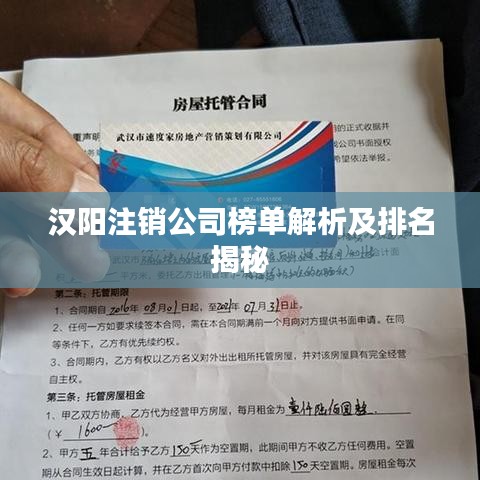 漢陽注銷公司榜單解析及排名揭秘