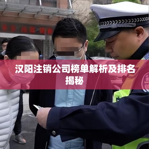 漢陽注銷公司榜單解析及排名揭秘