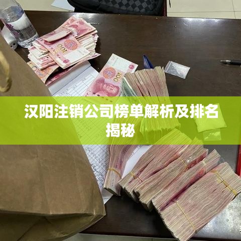 漢陽注銷公司榜單解析及排名揭秘