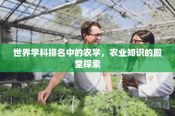 世界學(xué)科排名中的農(nóng)學(xué),農(nóng)業(yè)知識(shí)的殿堂探索