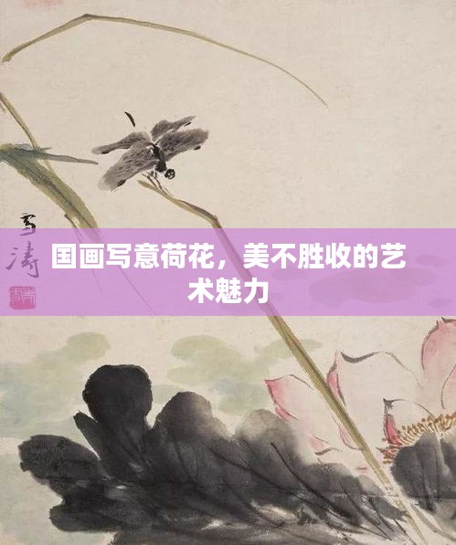 國畫寫意荷花,美不勝收的藝術魅力