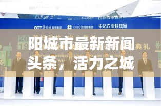 陽城市最新新聞頭條,活力之城開啟新篇章