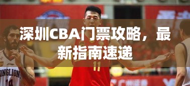 深圳CBA門票攻略,最新指南速遞