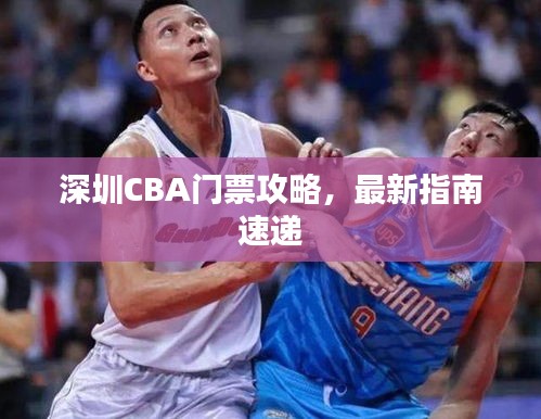 深圳CBA門票攻略,最新指南速遞