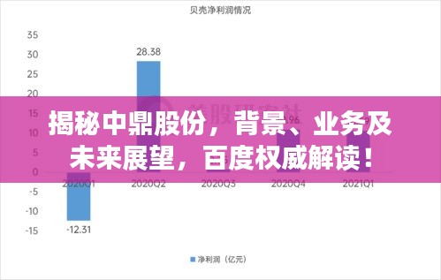 揭秘中鼎股份,背景、業務及未來展望,百度權威解讀!