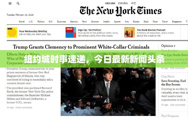 紐約城時事速遞,今日最新新聞頭條