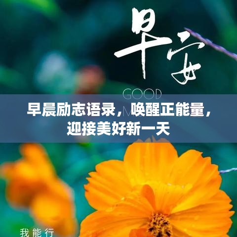 早晨勵志語錄,喚醒正能量,迎接美好新一天