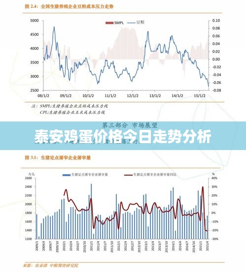 泰安雞蛋價(jià)格今日走勢(shì)分析
