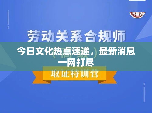 今日文化熱點(diǎn)速遞,最新消息一網(wǎng)打盡