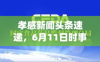 孝感新聞頭條速遞,6月11日時事熱點全掌握