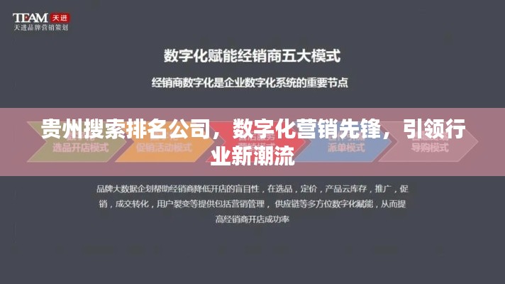 貴州搜索排名公司,數字化營銷先鋒,引領行業新潮流