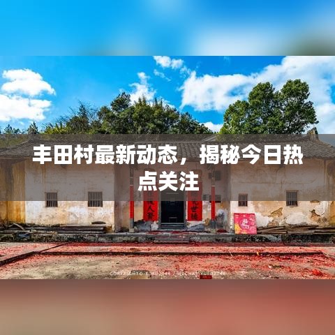 豐田村最新動態(tài),揭秘今日熱點關(guān)注