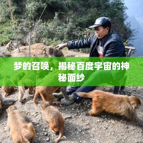 夢的召喚,揭秘百度宇宙的神秘面紗