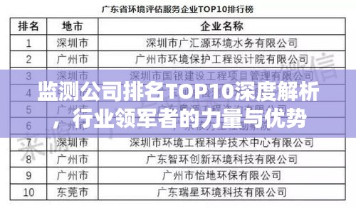 監測公司排名TOP10深度解析,行業領軍者的力量與優勢