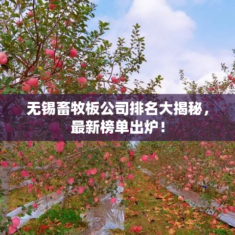 無錫畜牧板公司排名大揭秘，最新榜單出爐！