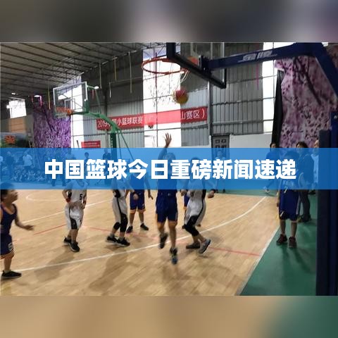 中國籃球今日重磅新聞速遞