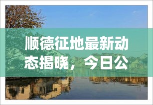 順德征地最新動態揭曉,今日公告刷新征地進展!