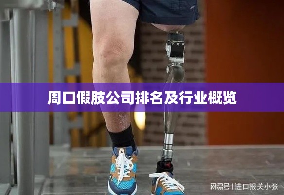 周口假肢公司排名及行業概覽