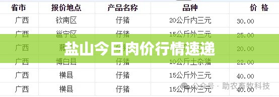 鹽山今日肉價行情速遞