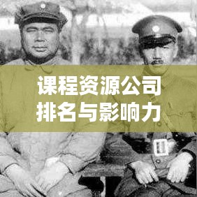 課程資源公司排名與影響力深度解析,權威榜單及評估報告!