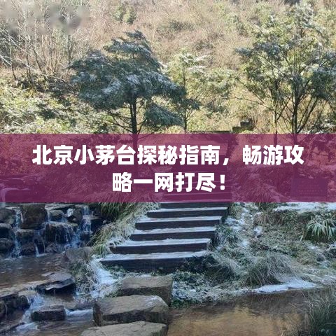 北京小茅臺探秘指南,暢游攻略一網打盡!