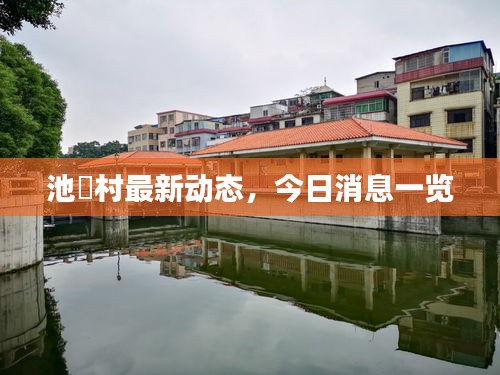池滘村最新動(dòng)態(tài),今日消息一覽