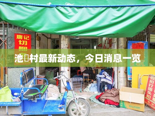 池滘村最新動態(tài),今日消息一覽