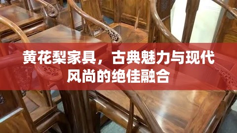 黃花梨家具,古典魅力與現(xiàn)代風尚的絕佳融合