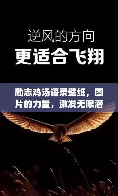 勵志雞湯語錄壁紙,圖片的力量,激發(fā)無限潛能