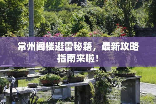 常州閣樓避雷秘籍,最新攻略指南來啦!