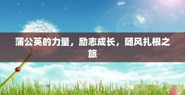 蒲公英的力量,勵志成長,隨風扎根之旅