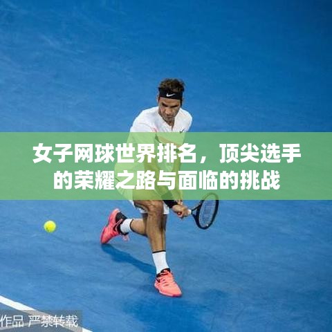女子網(wǎng)球世界排名,頂尖選手的榮耀之路與面臨的挑戰(zhàn)